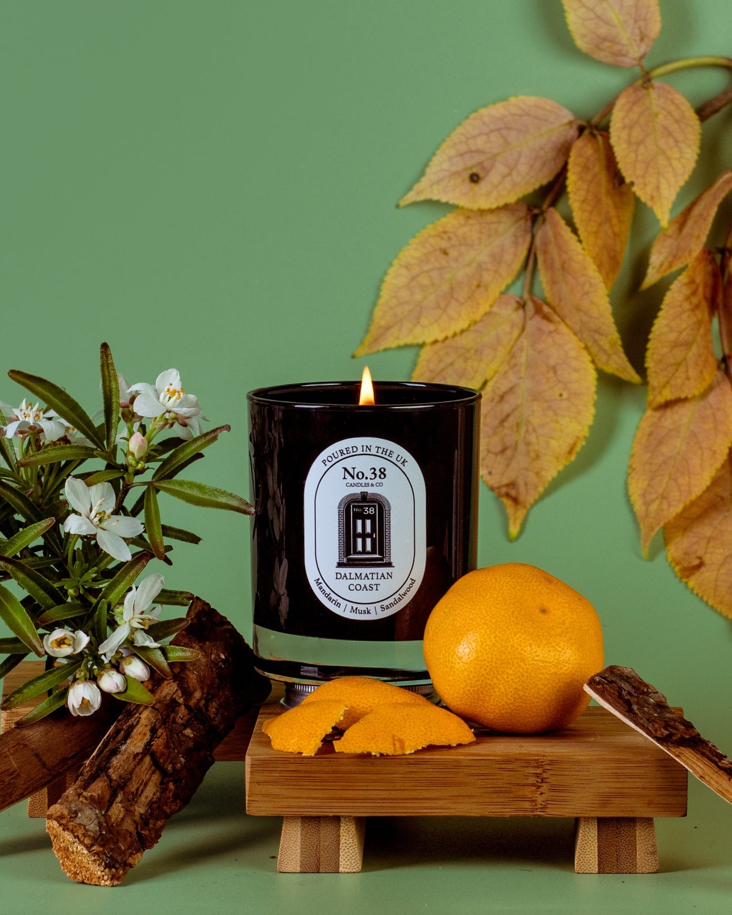 Dalmatian Coast Candle