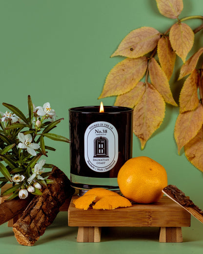 Dalmatian Coast Candle