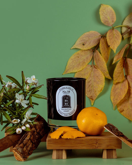 Dalmatian Coast Candle